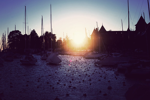 port sunrise switzerland harbor soleil pier boat suisse coucher ducks rayon bateau château castel canards morges