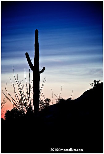 tucson saguaro borderfx azsunsetnikond2xnikkor180edif