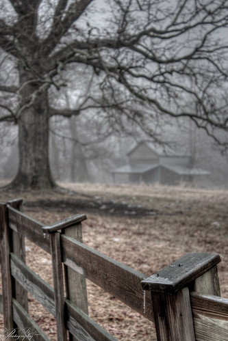 fog barn tobaccobarn fence tree oaktree ice hdr northcarolina canon xsi stokesdale bdz71 fencepost morning dew highdynamicrange nails farm farmer country oak tin roof tobacco tobaccosticks bdixonphotography bdixon bokeh bokey