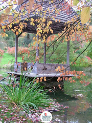 Arboretum de la Sédelle - Creuse - Crozant - Photo of Azerables