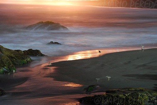 sanantonio noche playa santodomingo chilenocturna