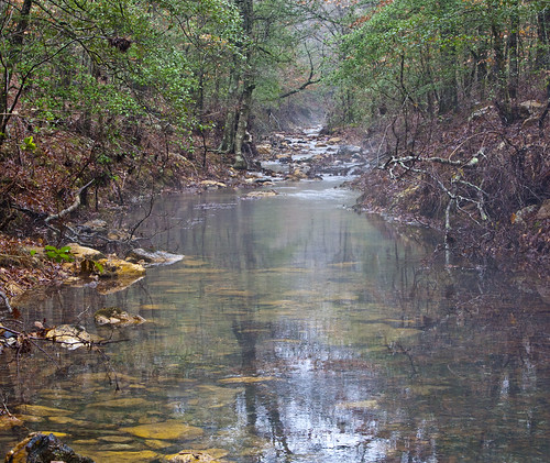 trees winter reflection tree water rock fog creek forest canon eos is leaf woods ar nationalforest trail twig arkansas usm onf ouachitanationalforest ef70200mm f28l 70200f28l shadylake canoneos5dmarkii 5dmarkii