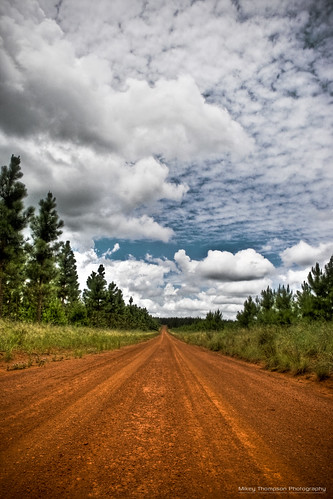 road clouds dirt hdr pineforest