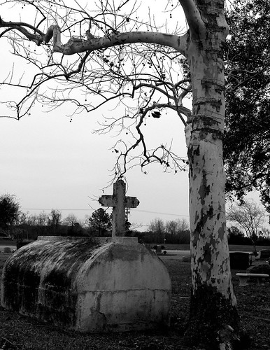 tree cemetery blackwhite crypt picnik viewonblack