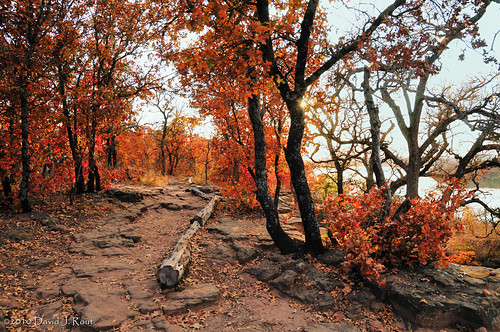 statepark autumn sunset red orange usa sunlight lake lines yellow gold golden log nikon rocks texas afternoon path tx 1870mmf3545g trail nikkor tones leading d300 lakemineralwells