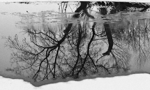 white snow black reflection tree ice water river branches speedriver 2011