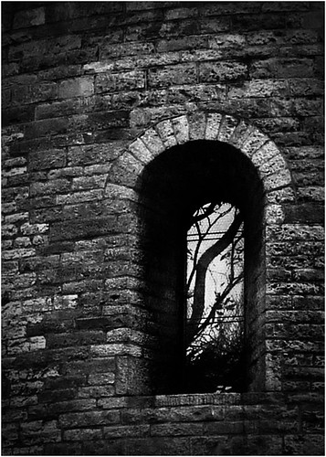trees bw white black reflection window glass stone dark gothic poland polska medieval cieszyn blackwhitephotos