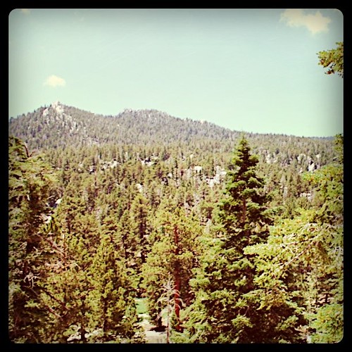 california statepark trees mountains square view palmsprings squareformat 2010 mtsanjacinto instagramapp