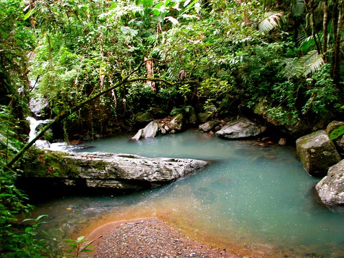 waterfall nationalpark rainforest puertorico nationalforest elyunque