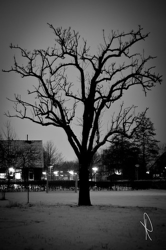 snow night nacht sneeuw achterhoek donker gelderland doetinchem