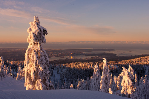 morning trees panorama snow vancouver sunrise dawn soft bc view britishcolumbia awesome fresh mount burrardinlet northvancouver seymour alpenglow shred thebestplaceonearth