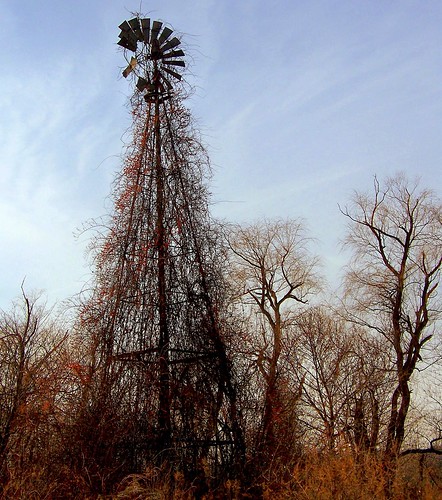trees tower overgrown windmill landscape vines connecticut newengland structure twtmeiconoftheday