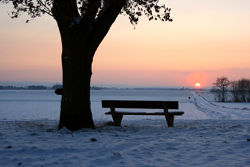 schnee winter sunset sun snow canon germany geotagged deutschland europa europe sonnenuntergang firstsnow dezember rheinland contrejour gegenlicht alfter canonefs1855mmf3556 challengeyouwinner winter2010