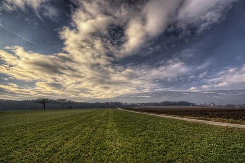 sky tree nature field clouds canon landscape photography eos schweiz switzerland photo day suisse cloudy swiss champs meadow sigma wideangle ciel prairie 1020mm nuages paysage campagne arbre hdr photomatix 450d philippesaire
