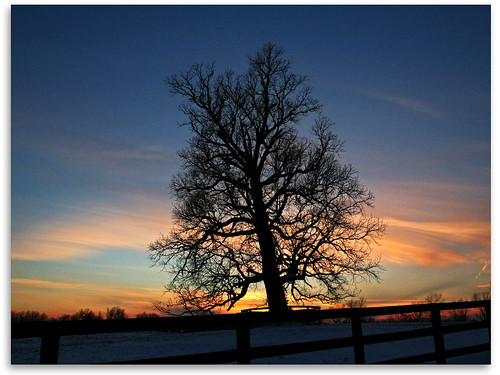 sunset sky cloud tree ky woodfordcounty