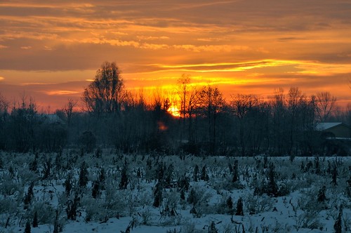 winter sun snow ice dawn nikon alba sole d90 18105mm nikond90 nikkorafsdx18105mmf3556edvr francescoceron afs18105mmdx