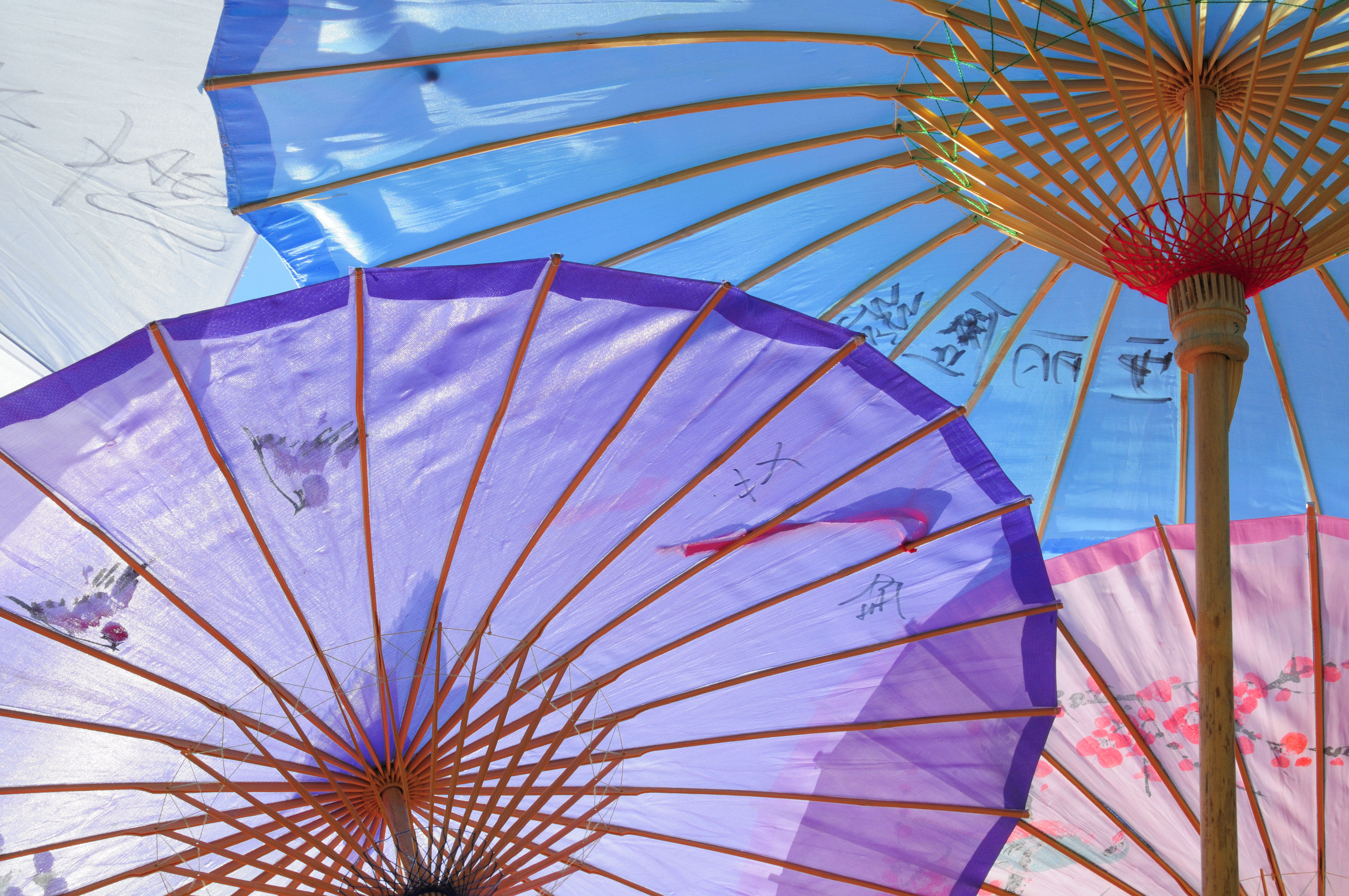 Поющие зонтики. Парасоль зонт. Парасоль зонт 19 век. Китайский зонтик. Японский зонт.