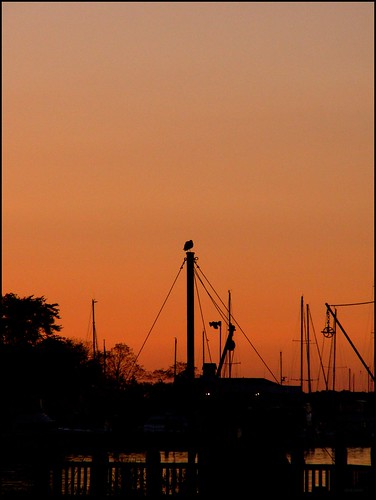 morning orange sun colour art film silhouette analog 35mm asahi pentax kodak harbour maryland mesuper goldmax400 solomonsmaryland soligorf35452880mmzoommacrolens thebirdsarenotevenawake