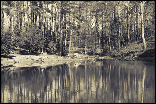 reflection sc pond woods botanicalgarden clemson duckpond southcarolinabotanicalgarden