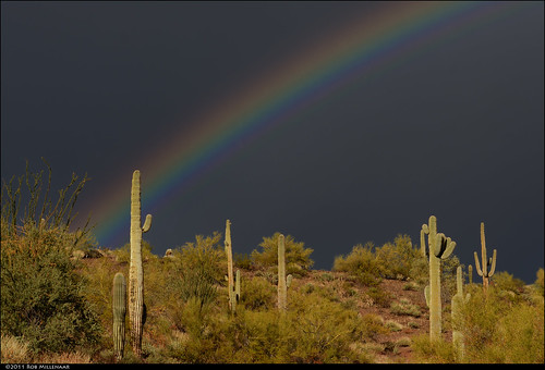 travel arizona cactus nature landscape rainbow scenery saguaro lakepleasant