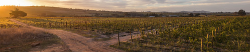 sunset panorama canon landscape southafrica farm wide sigma vineyards 1020mm westerncape somersetwest 50d