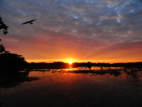 travel brazil sky sun lake southamerica clouds sunrise landscape swamp wetlands pantanal