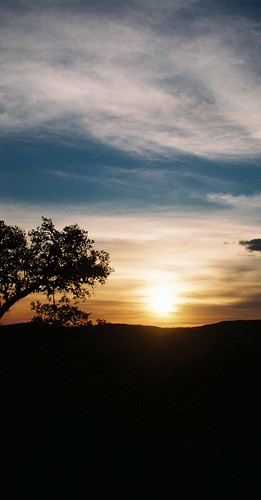 blue sunset sky sun tree yellow mexico chiapas lagunabelgica ocozocoaulta