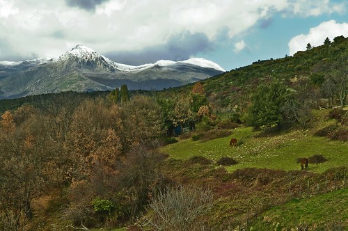fab france nature photo flickr corse corsica arbres paysages neiges scoopt francelandscapes erbajolo