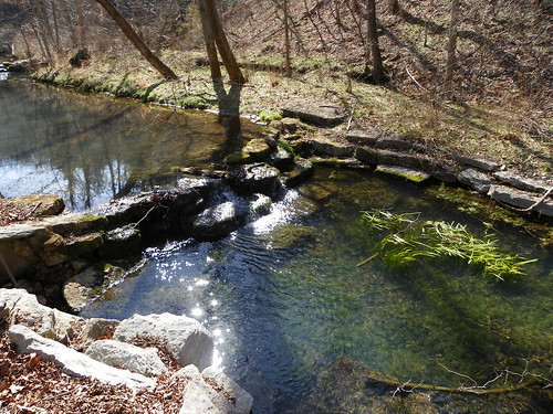 creek stream missouri streams ozarks naturepark creeks dogwoodcanyon natureparks