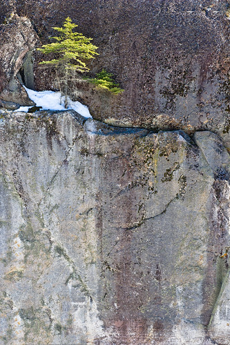 park cliff lake snow west tree rock landscape nikon hawk manitoba caddy provincial whiteshell d3s 2470mmf28g