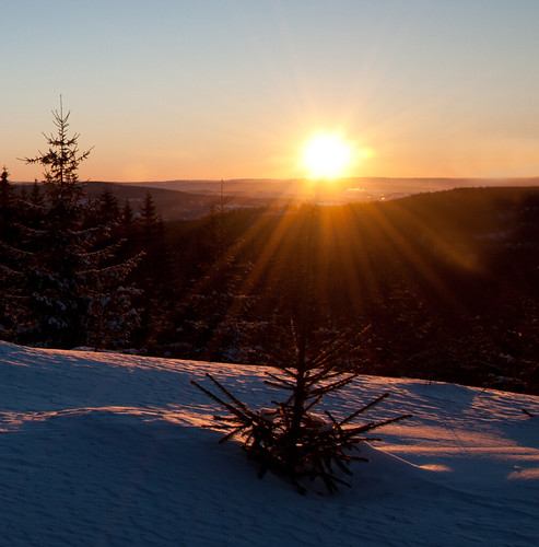 winter cold nature norway forest sunrise nikon colours d700