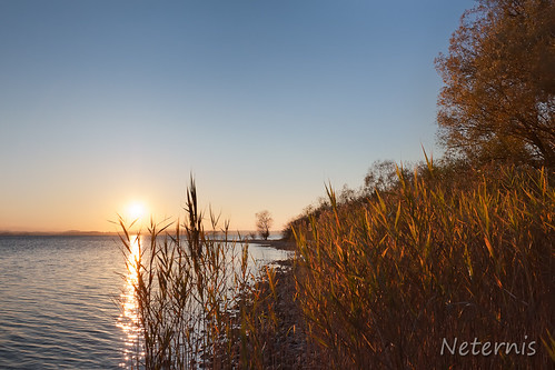 morning blue light sunset sky sun lake tree beach reed nature water beautiful sunrise landscape bavaria evening early waves quiet natural bright peaceful sunny calm clear shore late chiemsee