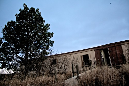 trees abandoned grass trailerhouse efs1855mmf3556is