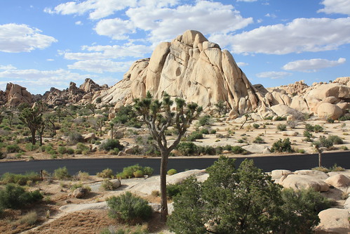 california usa us nationalpark desert joshuatree climbing bouldering ontheroad arrampicata