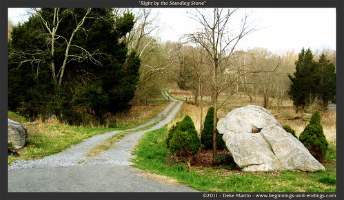 rock landscape path driveway cedartree