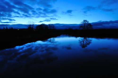blue tree beauty sunrise pond 365 ebey