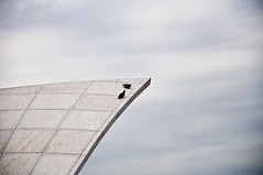 Part of the Lotus Temple's roof