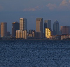 View of Down Town,Tampa,fl. from Ballast Point,Tampa,fl.