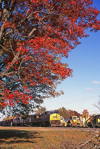 csx csxtrains csxmtvictorysubdivision red redleaves greenwichohio trees autumn autumnfoliage autumncolors trainsandautumn trainsandfallcolors fall