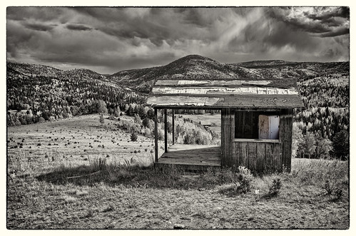 blackandwhite bw mountains abandoned nature architecture rural forest landscape nikon colorado decay stormy co nik rockymountains shack aspen oddity teller goldcamproad clff nikon1735 d700 silverefex2