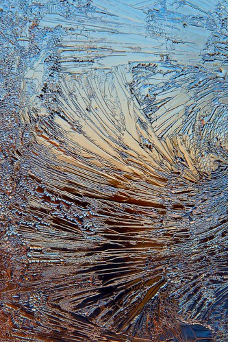 blue winter cold macro art ice nature beautiful closeup sunrise gold dawn frost bokeh fineart maine february extensiontube 36mm tenantsharbor doublyniceshot mygearandme mygearandmepremium mygearandmebronze