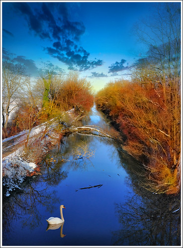 blue trees winter france cold nature water forest photoshop river way landscape canal swan hiver line alsace paysage froid hdr waterway ried priaux vanagram artolsheim hessenheim mygearandme