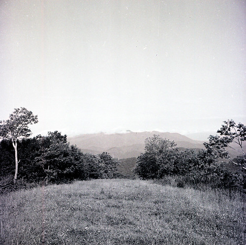 blackandwhite mountains skyline mediumformat blackwhite backpacking summit appalachiantrail yashicaa