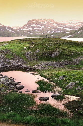 mountain norway canon landscape norge julian europa europe paisaje norwegian noruega 300 montaña fiords analogica hidalgo fjorden hardangervidda analogical fiordos norveggia nasjonalpark noruegos
