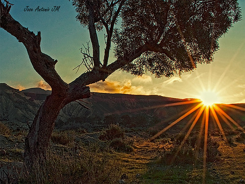 sunset españa sun tree sol arbol solar spain nikon sierra amanecer almeria sierraalhamilla alhamilla pechina d5000 doublyniceshot ozelico