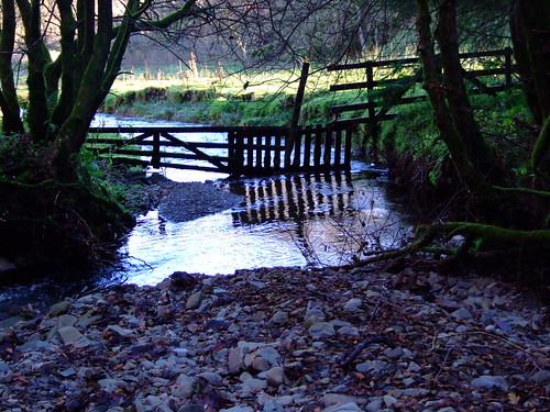 autumn trees light shadow reflection tree green nature water pool grass leaves silhouette fence grey scotland gate stream stones autumnleaves reflected reflect burn reflective leafs becks lightandshadow autumnal glebe borders gravel watergate waterreflection dumfriesandgalloway woodengate dumfriesshire langholm fujifinepixs6500fd glebefield thebecks becksburn langholmwalks beckswood