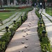 Gandhi's last walk - footsteps of a leader