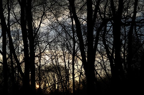 trees sunset ohio sky sun nature silhouette clouds outdoors evening nikon scenery day peace sundown bare peaceful days end steubenville wintersville d7000 truebritgal