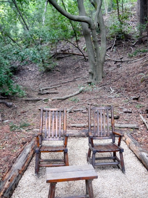 A seat in the woods