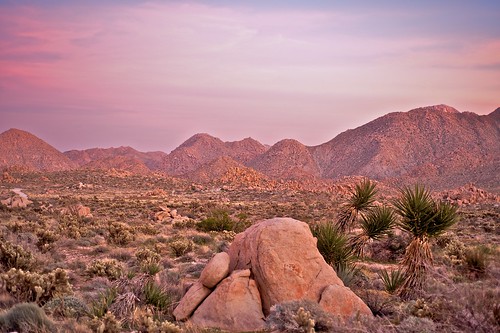 light sunset desert sandiego 365